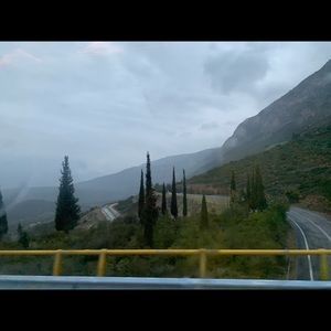 Meet your Posher, Bailey